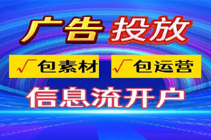 SEM代运营经典案例解析与启示